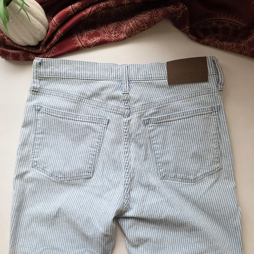 J. Crew Mercantile Striped Jeans Size 29 Blue White